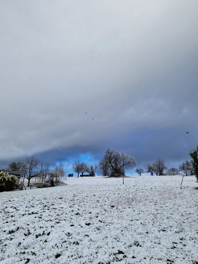 Lichtung mit Schnee und dichten Wolken