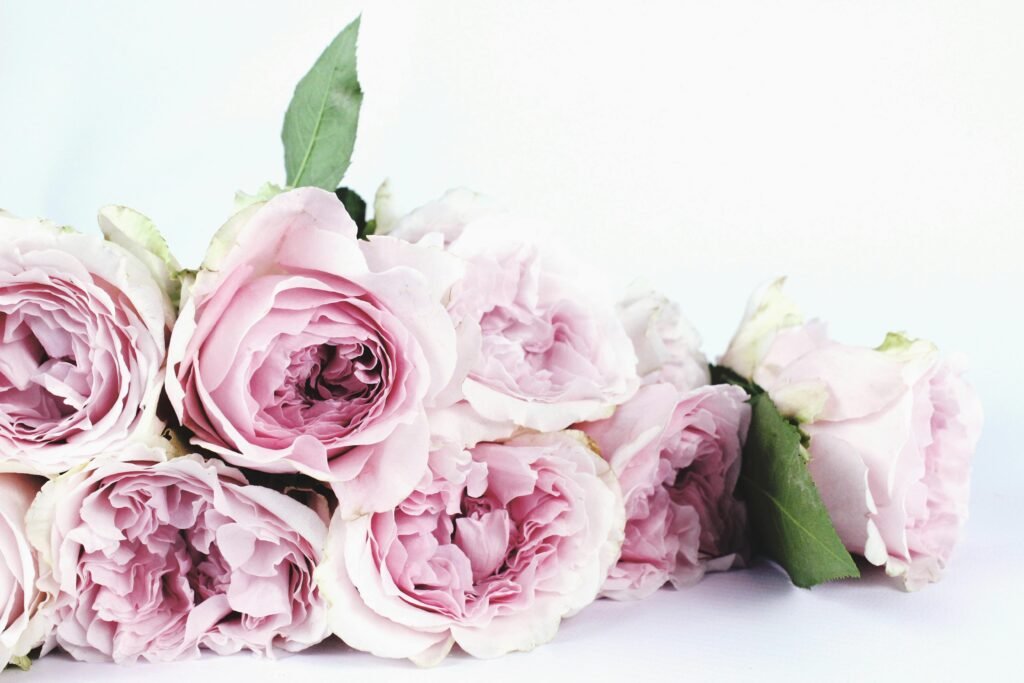 Rosen